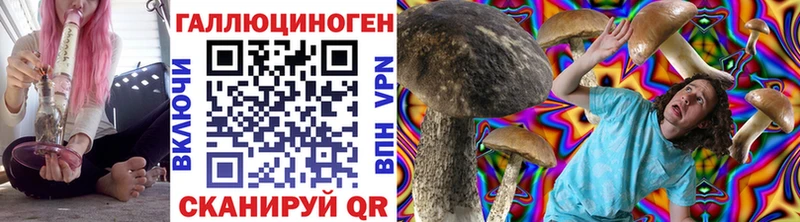 Купить закладки Маркс Псилоцибиновые грибы мицелий