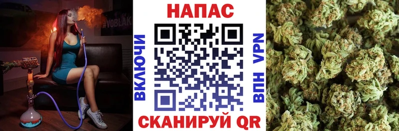 Конопля ГИДРОПОН  Купить где  Маркс 